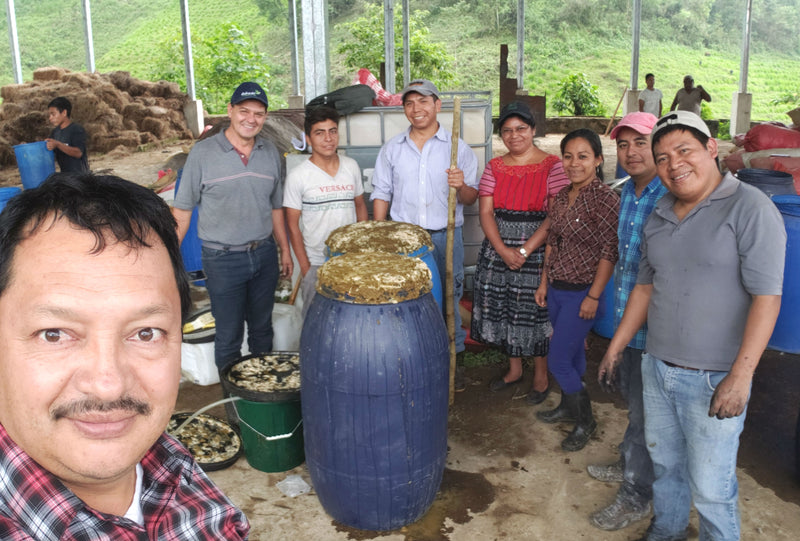 GUATEMALA FT ORGANIC NUEVO BULAJ SHB EP - *50113* - 25321 - GrainPro Bags - SPOT RCWHSE