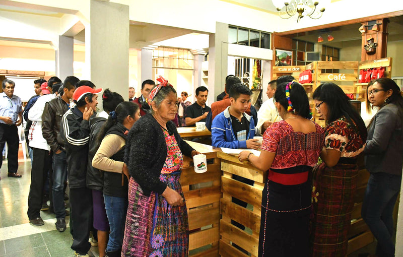GUATEMALA FT ORGANIC NUEVO BULAJ SHB EP - *50113* - 25321 - GrainPro Bags - SPOT RCWHSE