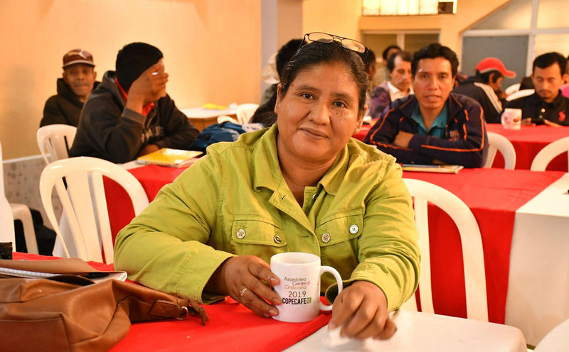 GUATEMALA FT ORGANIC NUEVO BULAJ SHB EP - *50113* - 25321 - GrainPro Bags - SPOT RCWHSE