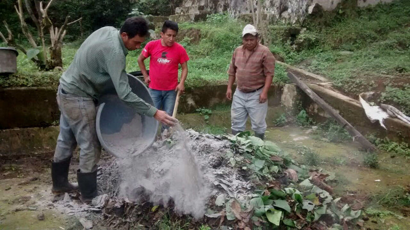 GUATEMALA FT ORGANIC NUEVO BULAJ SHB EP - *50113* - 25321 - GrainPro Bags - SPOT RCWHSE