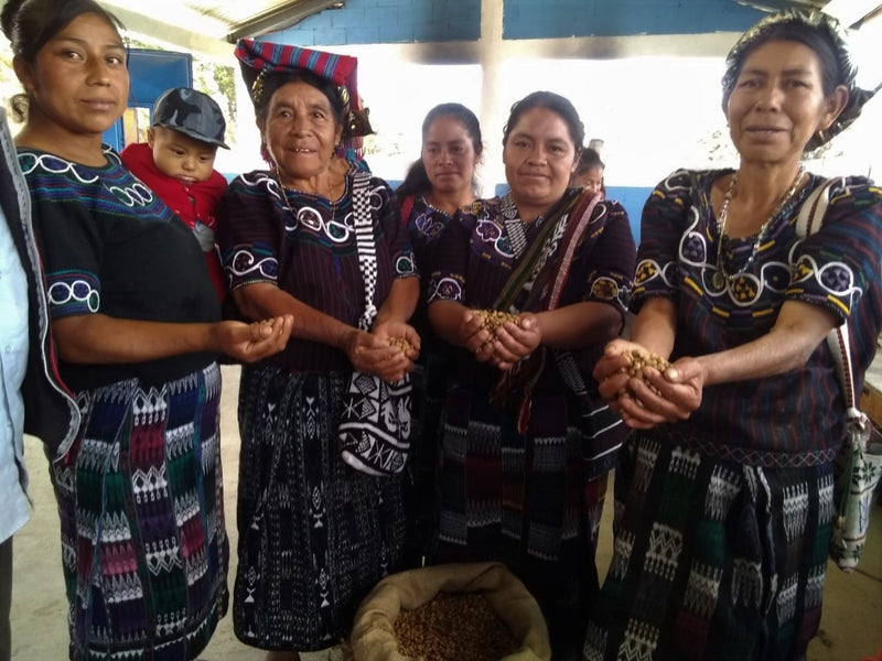Guatemala Quiche Joyabaj Project Chuquenum - *50767* - 24848 - Ecotact Bags - SPOT RCWHSE