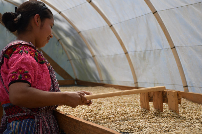 Guatemala Quiche Joyabaj Project Chuquenum - *50767* - 24848 - Ecotact Bags - SPOT RCWHSE
