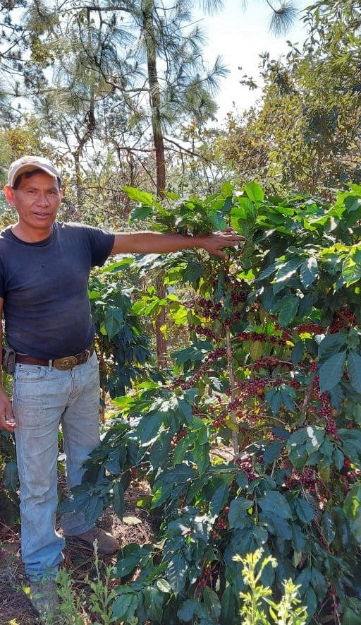 Guatemala Quiche Joyabaj Project Pachalib - *50768* - 24849 - Ecotact Bags - SPOT RCWHSE