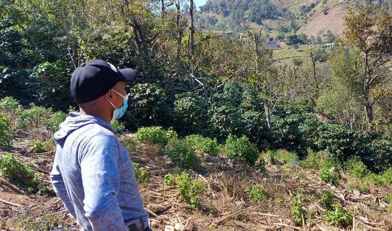 Guatemala Quiche Joyabaj Project Palibatz - *50769* - 24850 - Ecotact Bags - SPOT RCWHSE