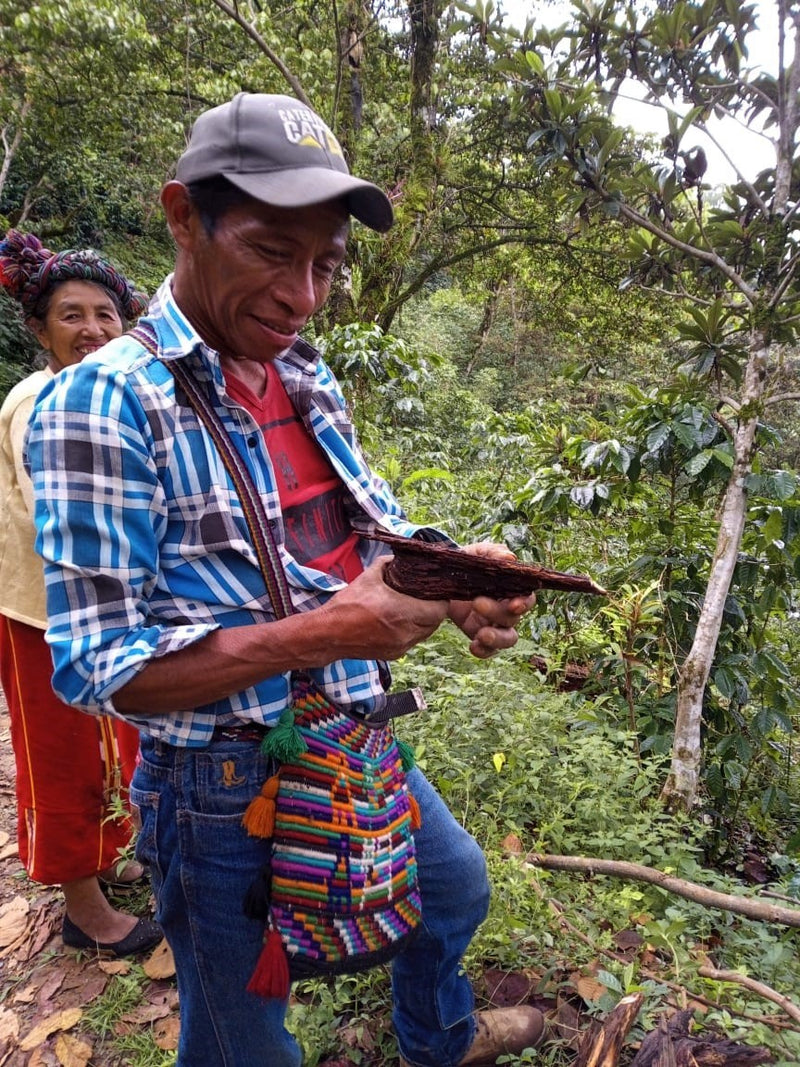 Guatemala Quiche Joyabaj Project - *50766* - 24847 - Ecotact Bags - SPOT RCWHSE