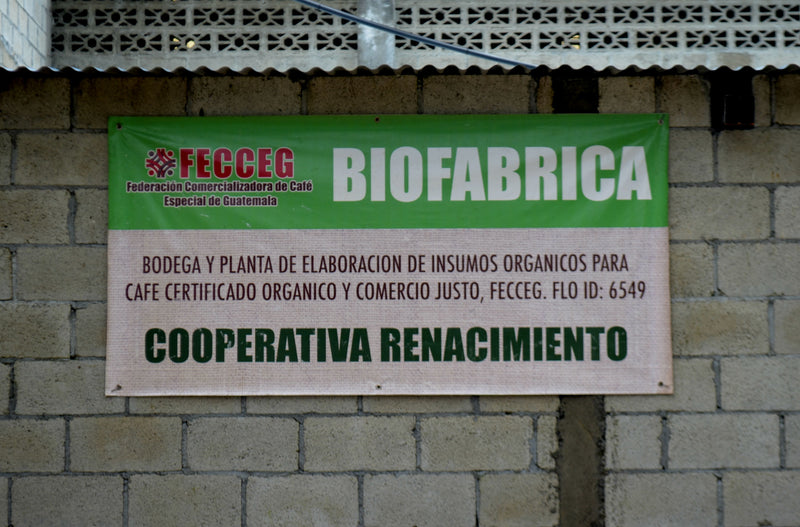 GUATEMALA FT-FLO ORGANIC ATITLAN RENACIMIENTO SHB EP - 30276-1 - SPOT COSEATAC