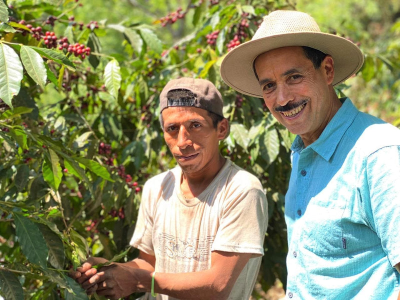 Guatemala Santa Rosa Finca Guatalon El Beneficio - *50853* - 24988 - GrainPro Bags - SPOT RCWHSE