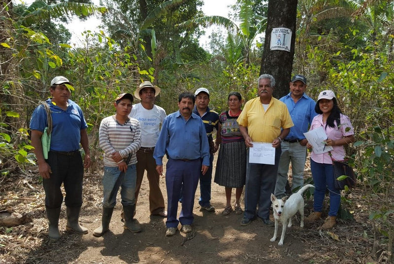 Guatemala Antigua Finca Medina SHB EP - 35666-1 - Ecotact Bags - SPOT DUPUYHOU
