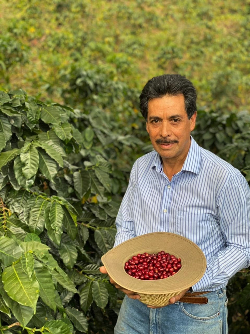 Guatemala Santa Rosa Finca Guatalon El Beneficio - *50853* - 24988 - GrainPro Bags - SPOT RCWHSE