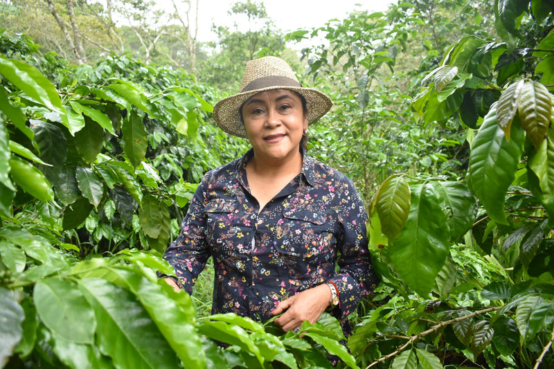 HONDURAS FT-FLO/USA ORGANIC GLADYS RIVERA NATURAL ANACAFE-14 - 34265 - GrainPro Bags - SPOT RCWHSE