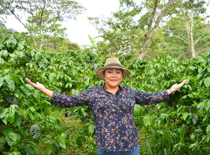 HONDURAS FT-FLO/USA ORGANIC GLADYS RIVERA NATURAL ANACAFE-14 - 34265 - GrainPro Bags - SPOT RCWHSE