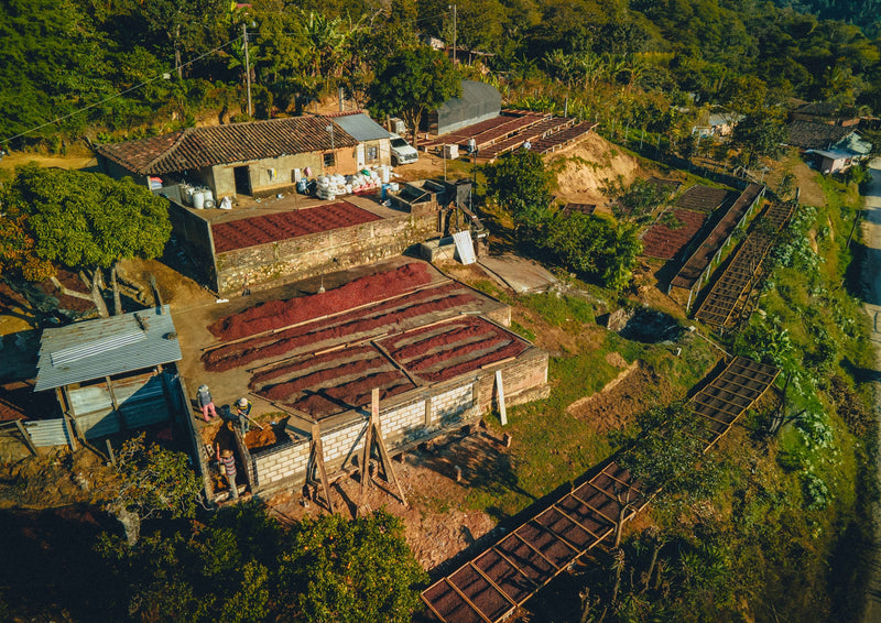 HONDURAS FT-FLO/USA ORGANIC OCOTEPEQUE FINCA CASCARITAS HONEY - Lot #4 - 34270 - GrainPro Bags - SPOT RCWHSE