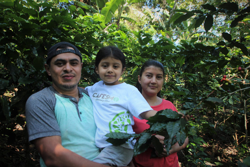 HONDURAS FT-FLO/USA ORGANIC OCOTEPEQUE CAFESMO NATURAL - Lot 144 - 31499 - GrainPro Bags - SPOT COSEATAC