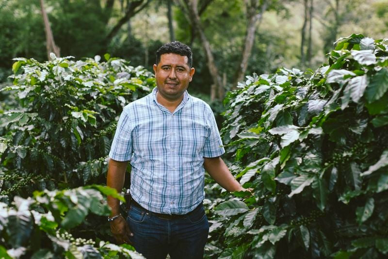 DECAF HONDURAS FT-USA ORGANIC SWISS WATER PROCESS - 38700 - SPOT SEAFORTH