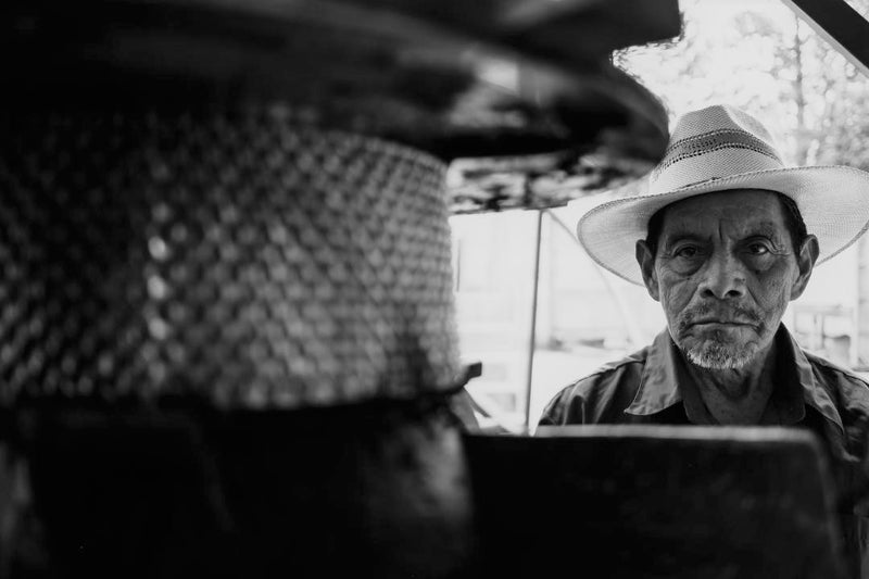 HONDURAS FT ORGANIC UBALDO GONZALEZ BLACK HONEY - *49951V* - 25270 - GrainPro Bags - SPOT SEAFORTH