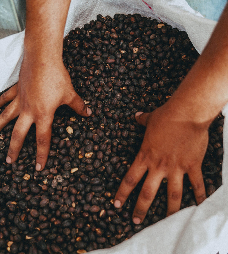 HONDURAS FT-FLO/USA ORGANIC OCOTEPEQUE CAFESMO NATURAL - Lot 144 - 31499 - GrainPro Bags - SPOT RCWHSE