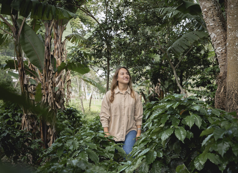 HONDURAS ORGANIC GRASIA MARIA PENALBA HONEY CATUAI - 34261 - GrainPro Bags - SPOT RCWHSE