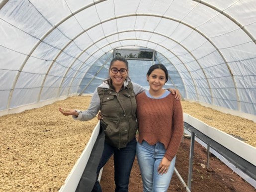 HONDURAS ORGANIC HG EP - 39738 - SPOT RCWHSE