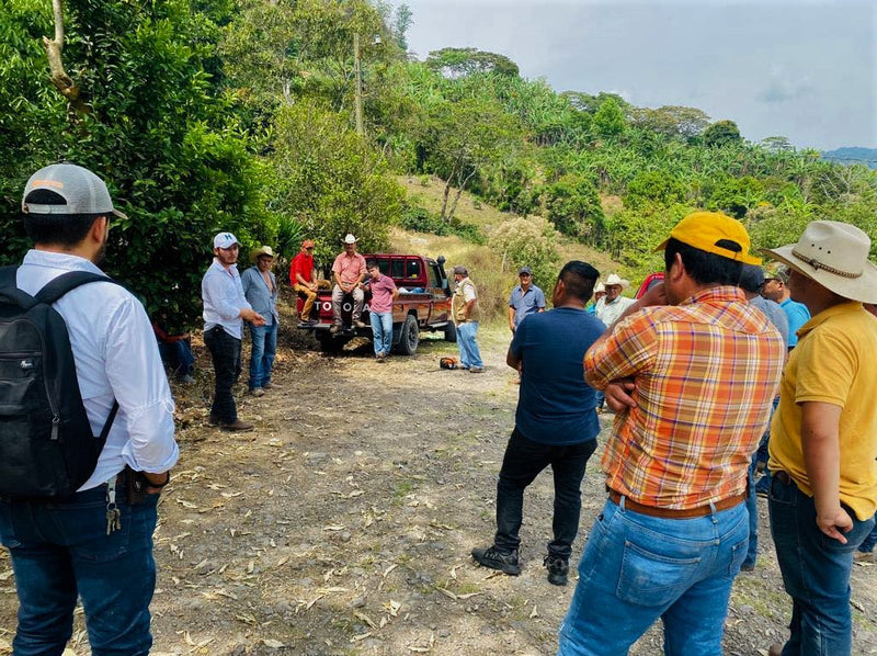 HONDURAS ORGANIC HG EP - 41897 - December 2026 Shipment - RCWHSE