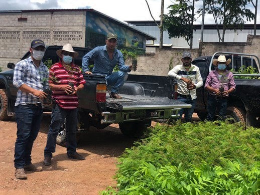 HONDURAS ORGANIC HG EP - *50191* - 24087 - SPOT RCWHSE