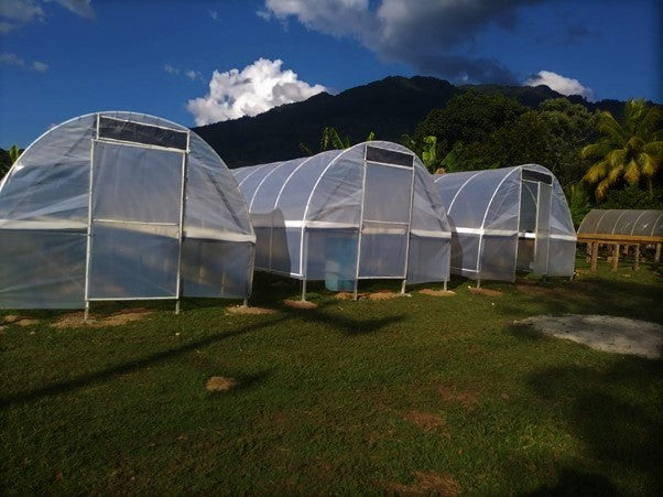 HONDURAS ORGANIC OPALACA GRAN TUCAN SHG EP - 34848 - Ecotact Bags - SPOT RCWHSE