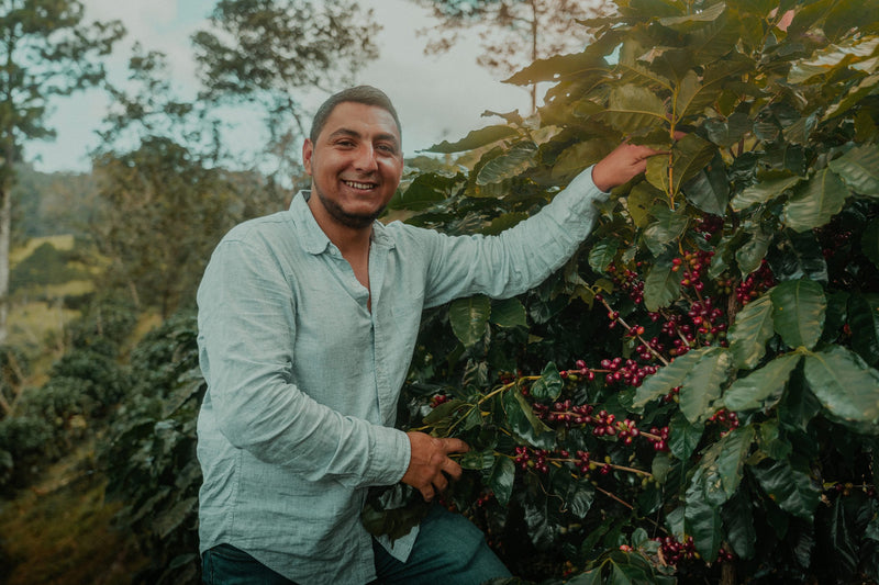 HONDURAS ORGANIC OCOTEPEQUE CAFESMO MOISES HIDARDO HERNANDEZ NATURAL PARAINEMA - 36798 - GrainPro Bags - SPOT RCWHSE