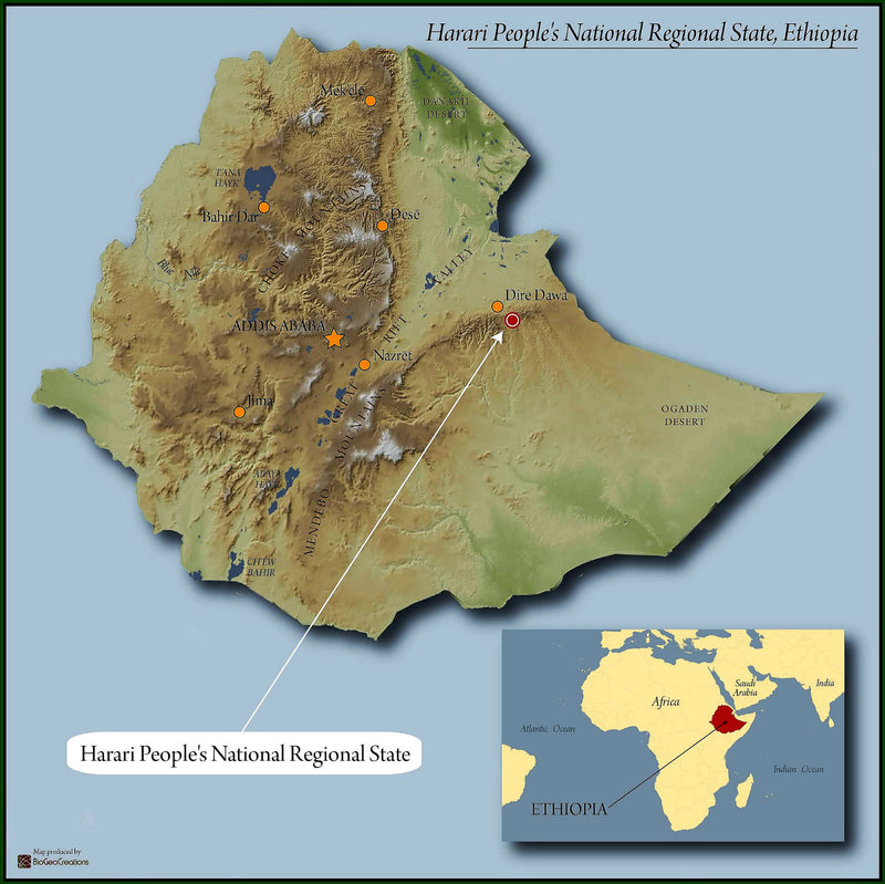 Ethiopia East Harrar 4 Natural Nafisifi - 30640 - GrainPro Bags - SPOT RCWHSE
