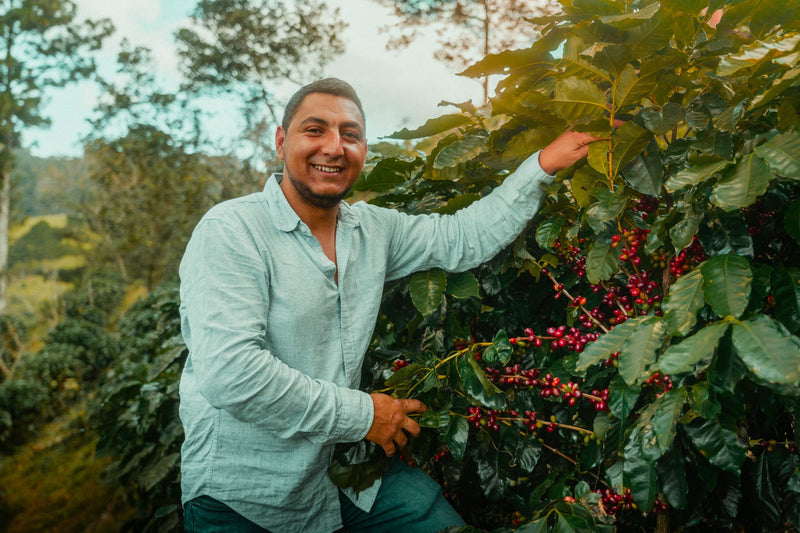 HONDURAS FT-FLO/USA ORGANIC OCOTEPEQUE FINCA CASCARITAS HONEY - Lot #4 - 34270 - GrainPro Bags - SPOT RCWHSE
