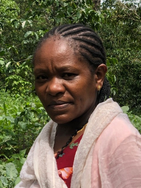 ETHIOPIA YIRGACHEFFE 1 NATURAL ORGANIC HIRUT SHALLO - 30931 - GrainPro Bags - SPOT RCWHSE