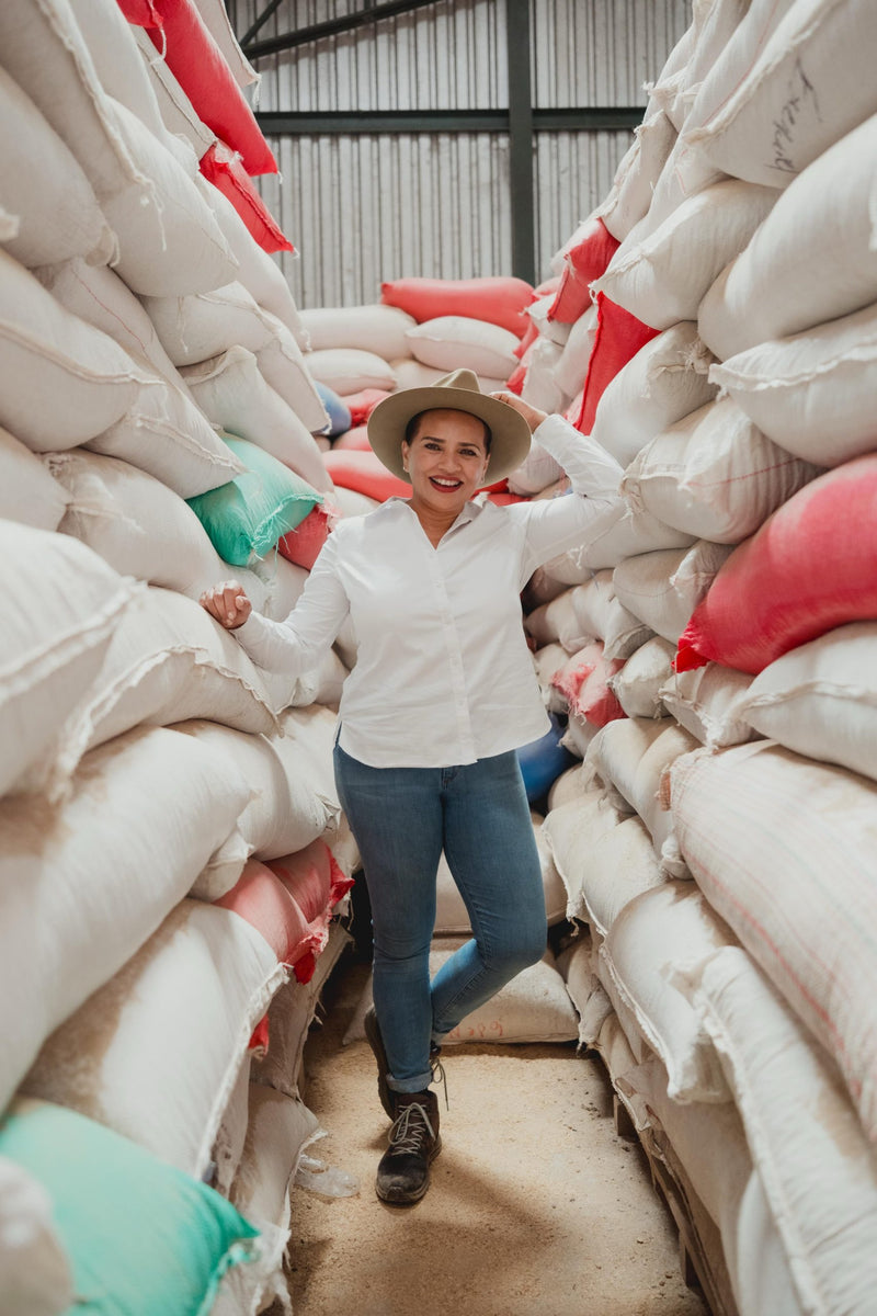 Crown Jewel Honduras Washed SL-28 Marysabel Caballero & Moisés Herrera Chinacla Municipality - 37070-1 - SPOT RCWHSE