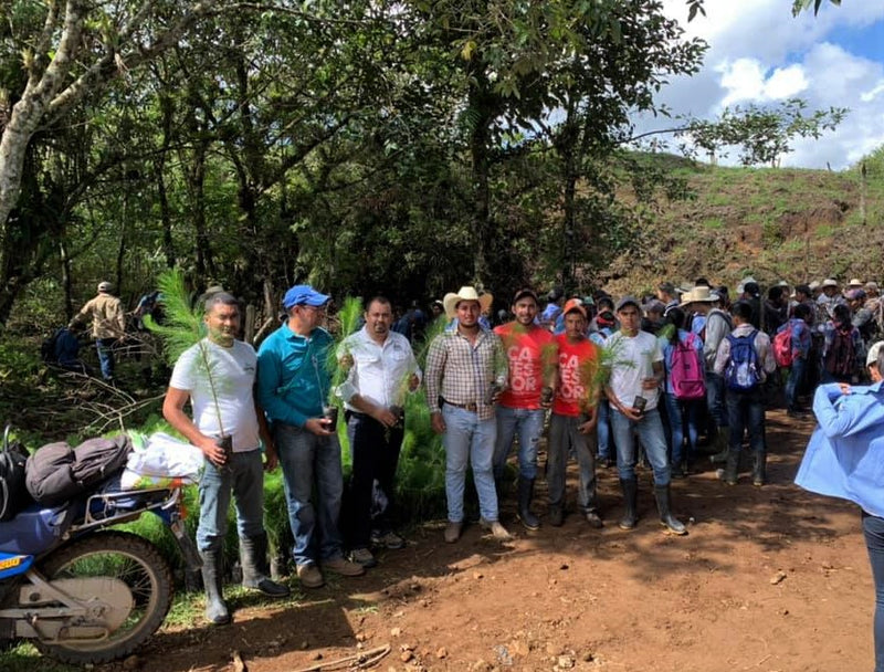 HONDURAS ORGANIC COPAN CAFESCOR SHG EP - 30018-2 - SPOT RCWHSE