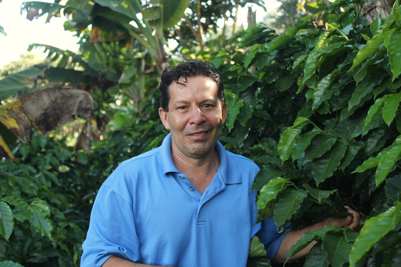 Honduras Santa Barbara Nelin Guzman Natural Parainema  - 38638 - GrainPro Bags - SPOT RCWHSE