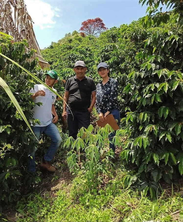 COLOMBIA ORGANIC HUILA TERRA VERDE - 38543 - 69.8 kg GrainPro Bags - SPOT RCWHSE