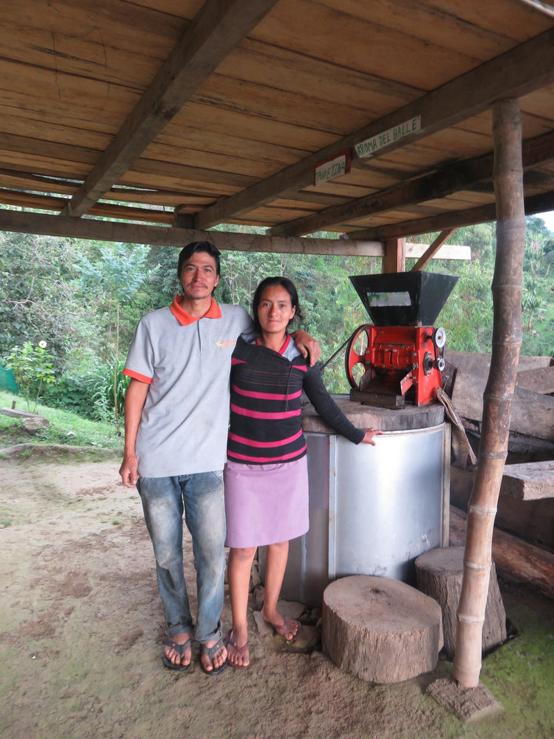 PERU ORGANIC CAJAMARCA SANTA MARIA CESAR SAMPERTEGUI - *51243* - 24977 - GrainPro Bags - SPOT RCWHSE