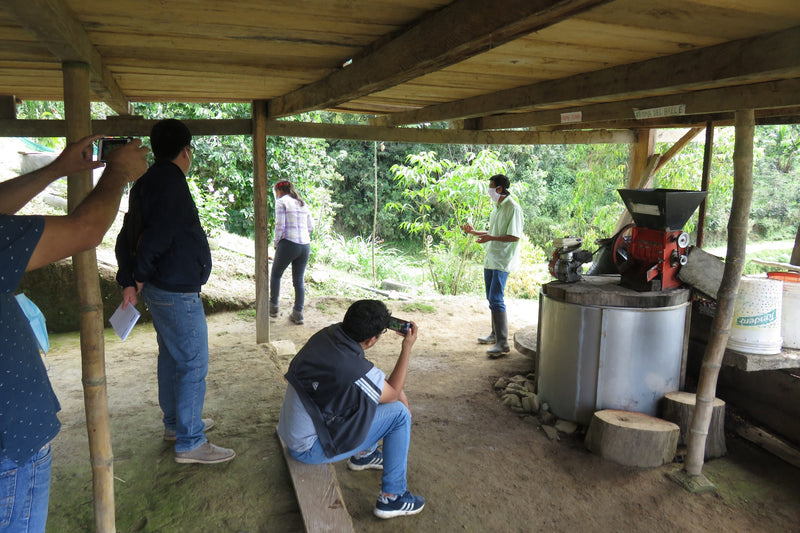 PERU ORGANIC CAJAMARCA SANTA MARIA CESAR SAMPERTEGUI - *51243* - 24977 - GrainPro Bags - SPOT RCWHSE