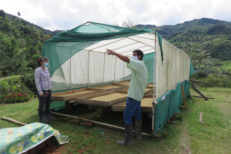 PERU ORGANIC CAJAMARCA SANTA MARIA CESAR SAMPERTEGUI - *51243* - 24977 - GrainPro Bags - SPOT RCWHSE