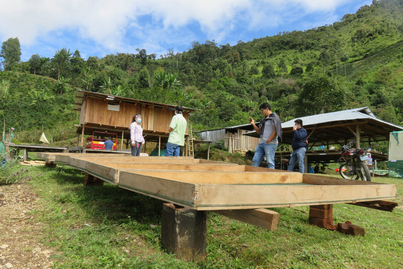 PERU ORGANIC CAJAMARCA SANTA MARIA CESAR SAMPERTEGUI - *51243* - 24977 - GrainPro Bags - SPOT RCWHSE