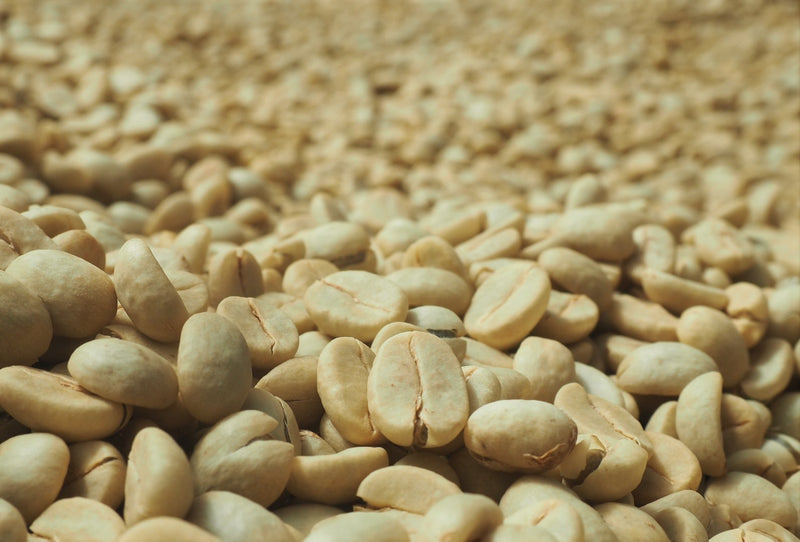 India Tamil Nadu Periyamalai Estate Microlot - 28064 - SPOT RCWHSE