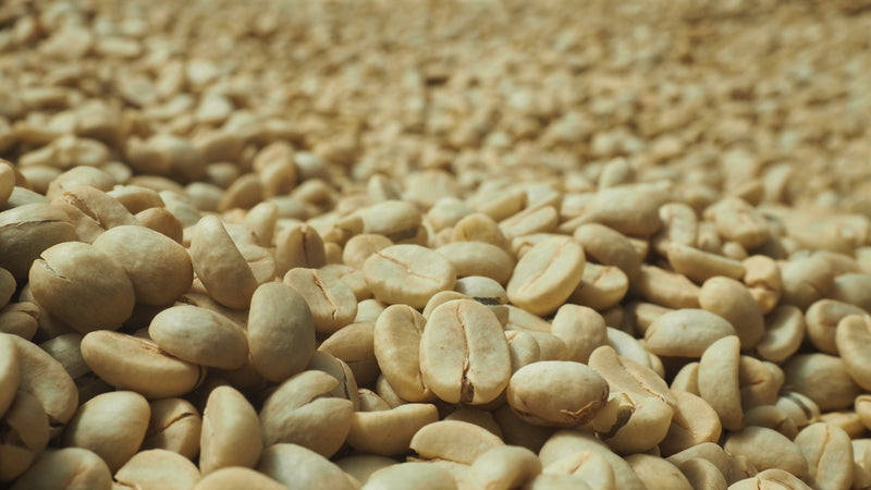 INDIA ORGANIC CHIKMAGALUR ROBUSTA WASHED AB - *49561* - 24455 - 60.0 kg Bags - SPOT RCWHSE
