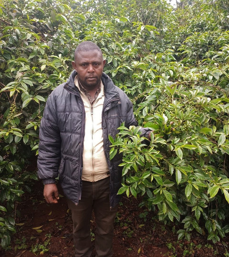 Ethiopia Farmgate COE National Select Jury Yirgacheffe 1 Natural Abera Irbata Dagoma - 29933 - GrainPro Bags - SPOT RCWHSE