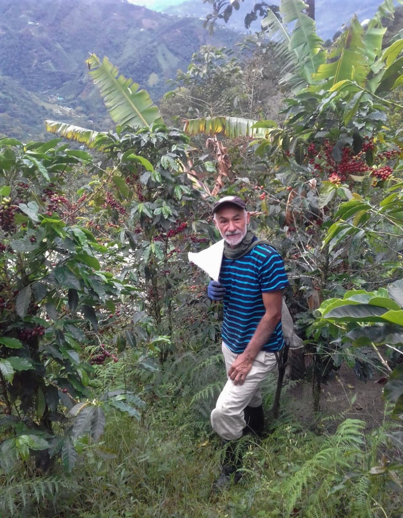 COLOMBIA ORGANIC SOUTH HUILA ESPECIAL - *50039* - 25256 - 70.1 kg GrainPro Bags - SPOT RCWHSE