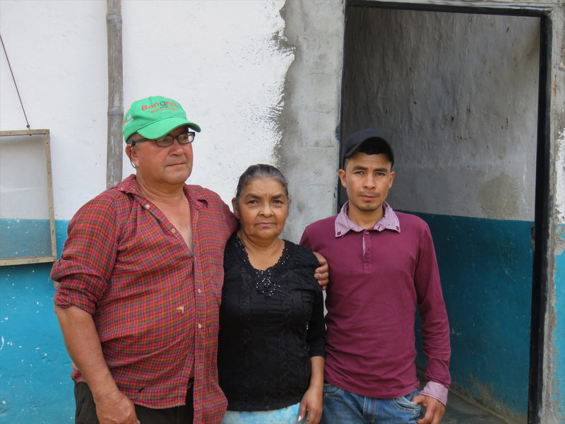 Colombia Huila Acevedo A - *51425* - 24959 - GrainPro Bags - SPOT RCWHSE