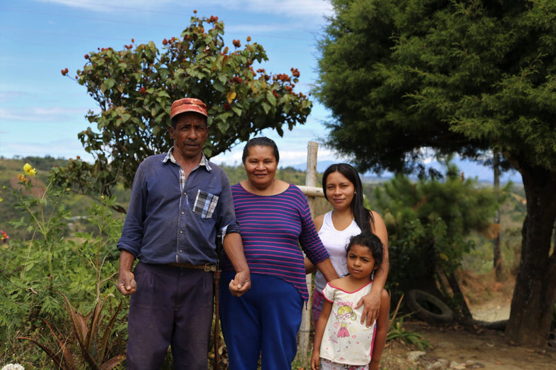 Colombia Cauca Timbio AA - 29615 - 70.0 kg GrainPro Bags - SPOT RCWHSE