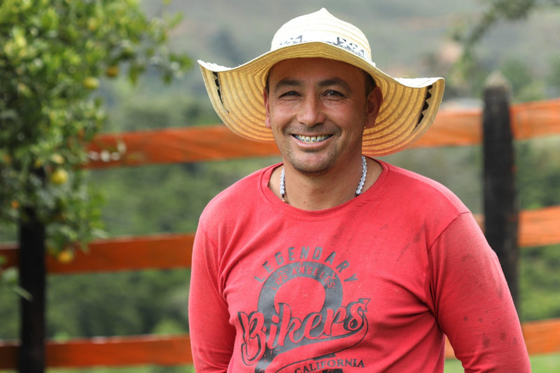 Colombia Best Of Antioquia Juan Danilo Flores Urrego - 28872 - 35.0 kg GrainPro Bags - SPOT RCWHSE
