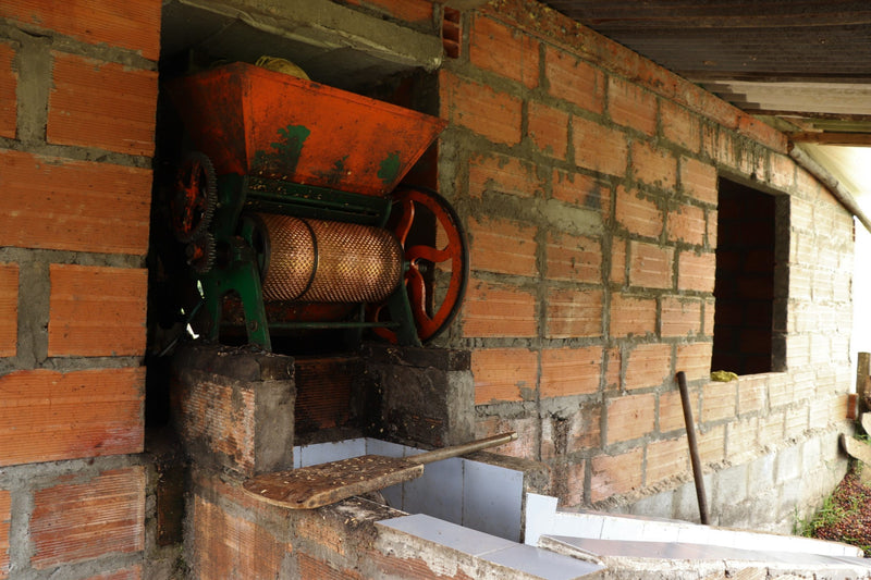 Colombia Best Of Antioquia Juan Danilo Flores Urrego - 28872 - 35.0 kg GrainPro Bags - SPOT RCWHSE
