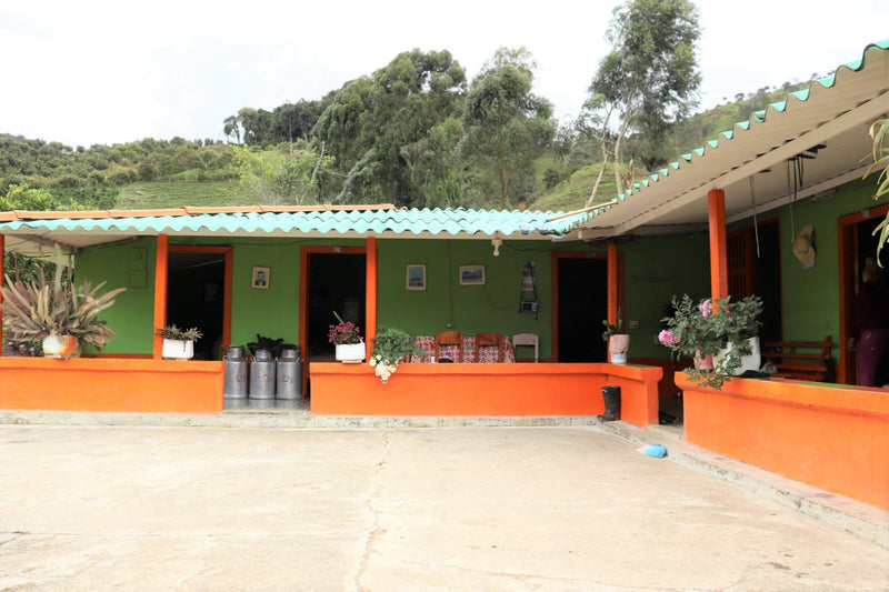 Colombia Best Of Antioquia Juan Danilo Flores Urrego - 28872 - 35.0 kg GrainPro Bags - SPOT RCWHSE