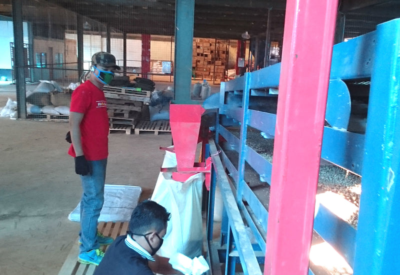 Java Preanger Washed - *47894H1* - 25543 - GrainPro Bags - SPOT DUPUYHOU
