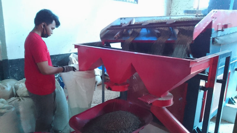 Java Preanger Washed - *47894H1* - 25543 - GrainPro Bags - SPOT DUPUYHOU