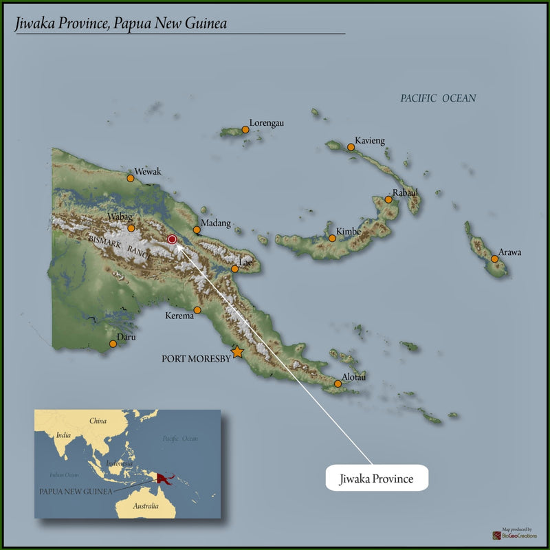 Papua New Guinea Jiwaka Arufa Natural - 33941 - GrainPro Bags - SPOT RCWHSE