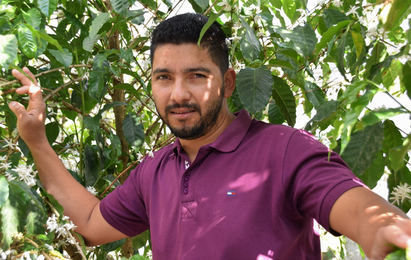 HONDURAS FT ORGANIC JOAQUIN SUAZO NOLASCO - *50960* - 25385 - GrainPro Bags - SPOT RCWHSE